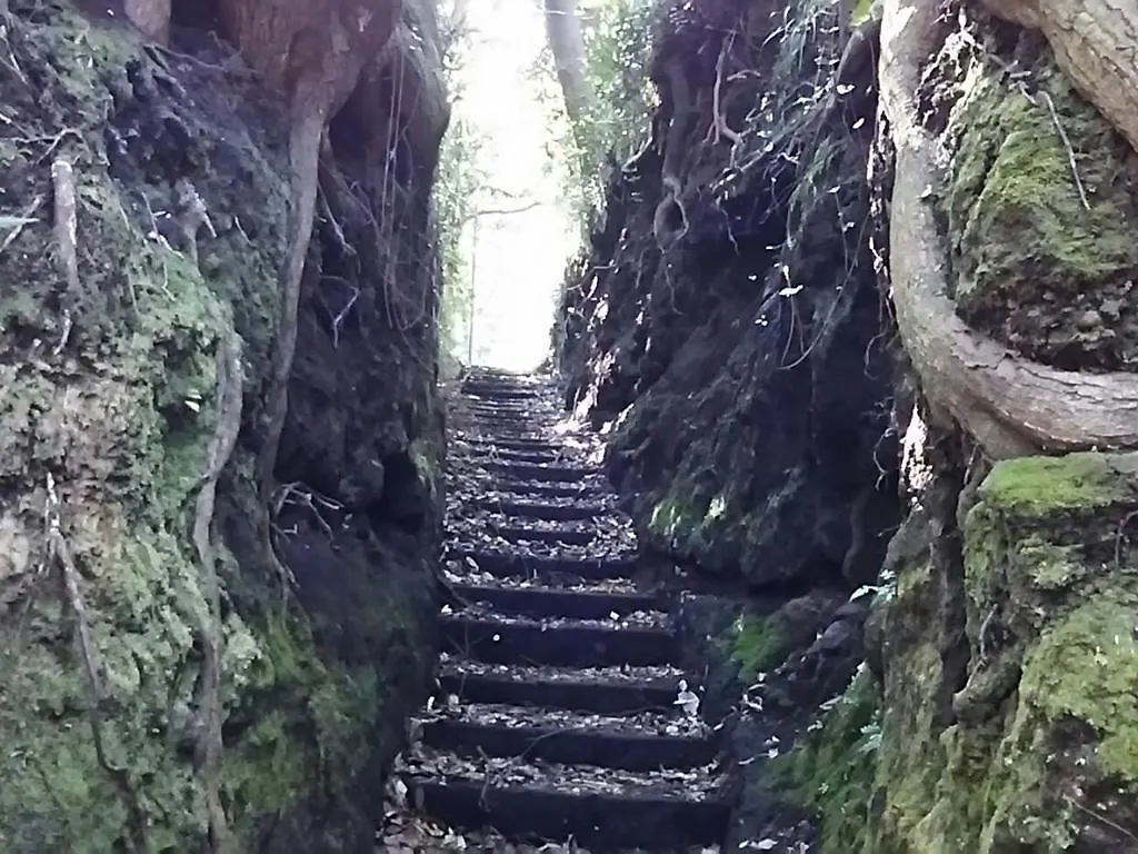 ホテル ブランブルー和 大島