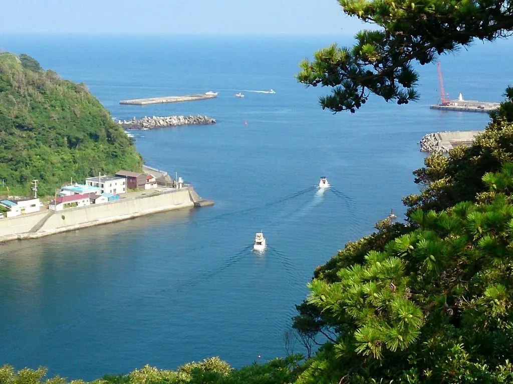 ホテル ブランブルー和 大島 旅館